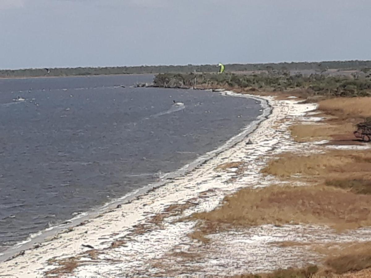 Navy Cove Harbor 1206 By Vacation Homes Collection Gulf Shores Bagian luar foto